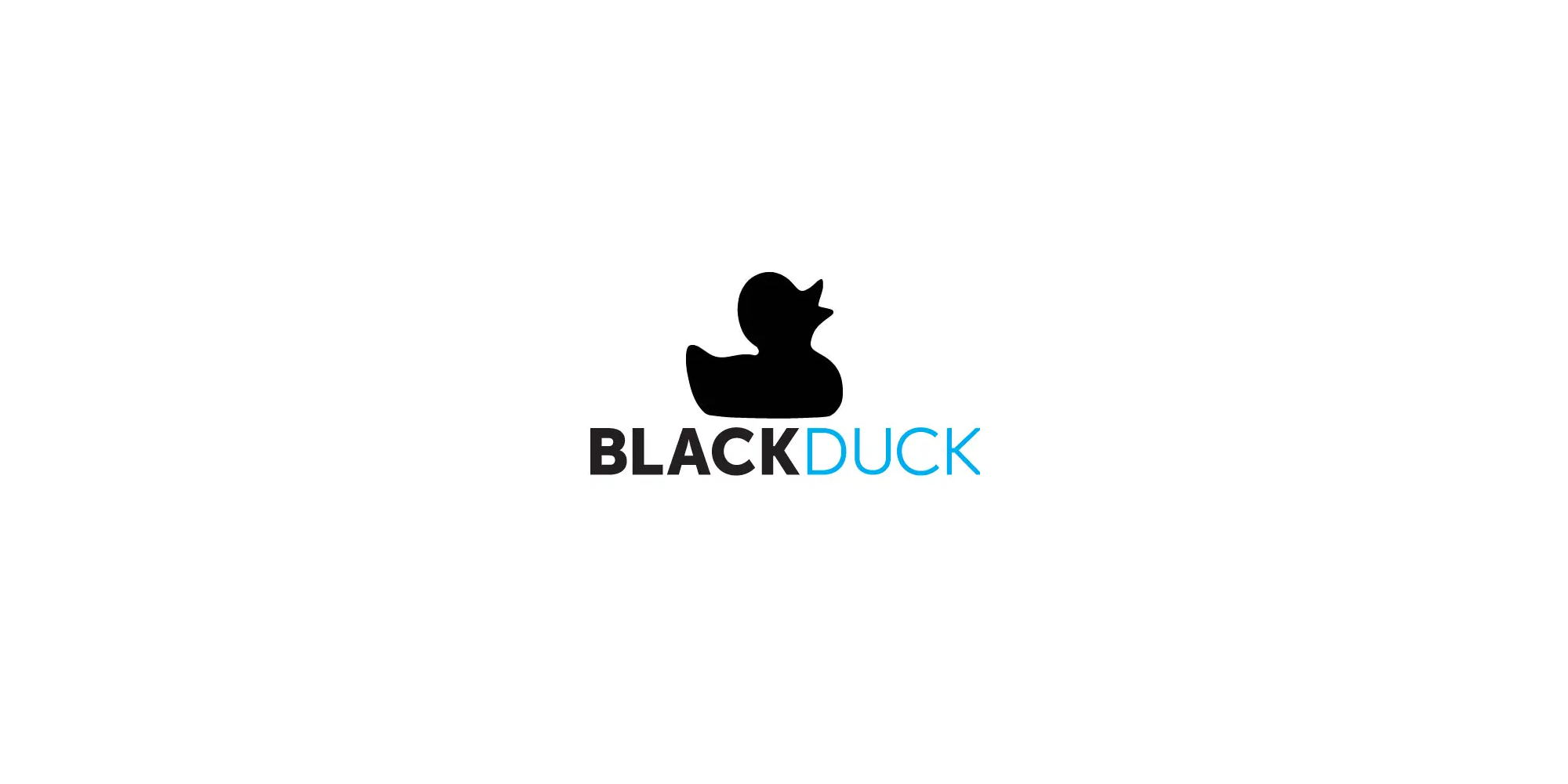 Synopsys Blackduck Primary User